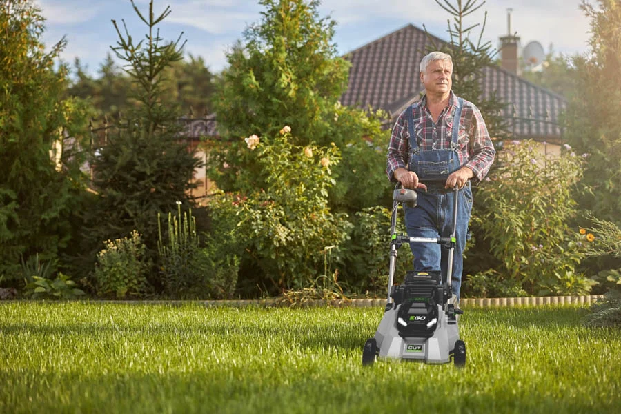 top self propelled lawn mower